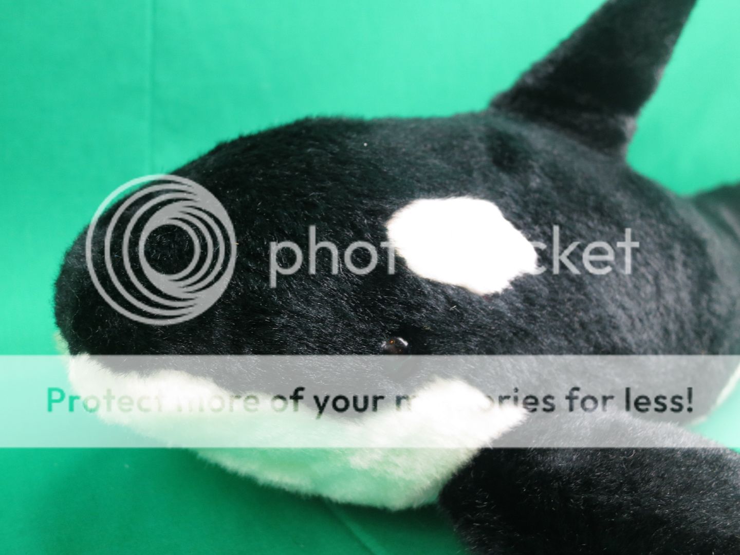 seaworld orca stuffed animal